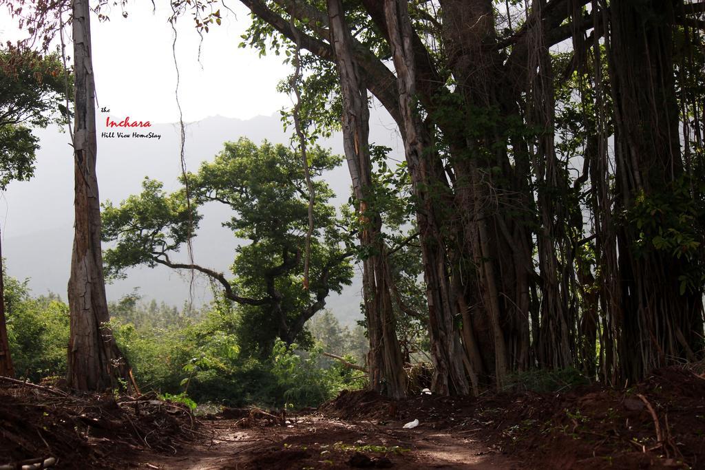 The Inchara Hill View Homestay Chikmagalur Exterior photo