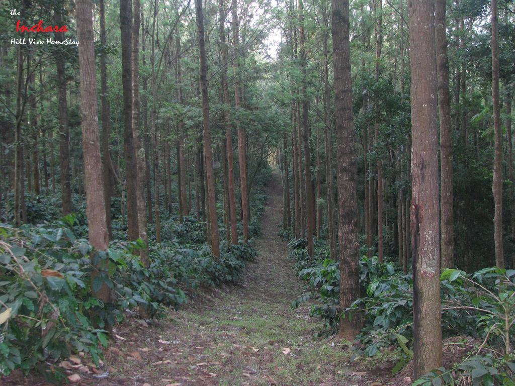 The Inchara Hill View Homestay Chikmagalur Exterior photo